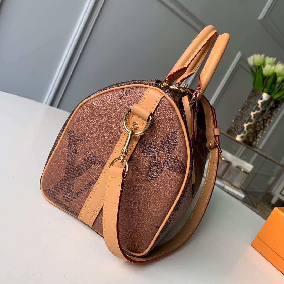 2019 Louis Vuitton SPEEDY BANDOULIÃˆRE 25 M41113 - Click Image to Close